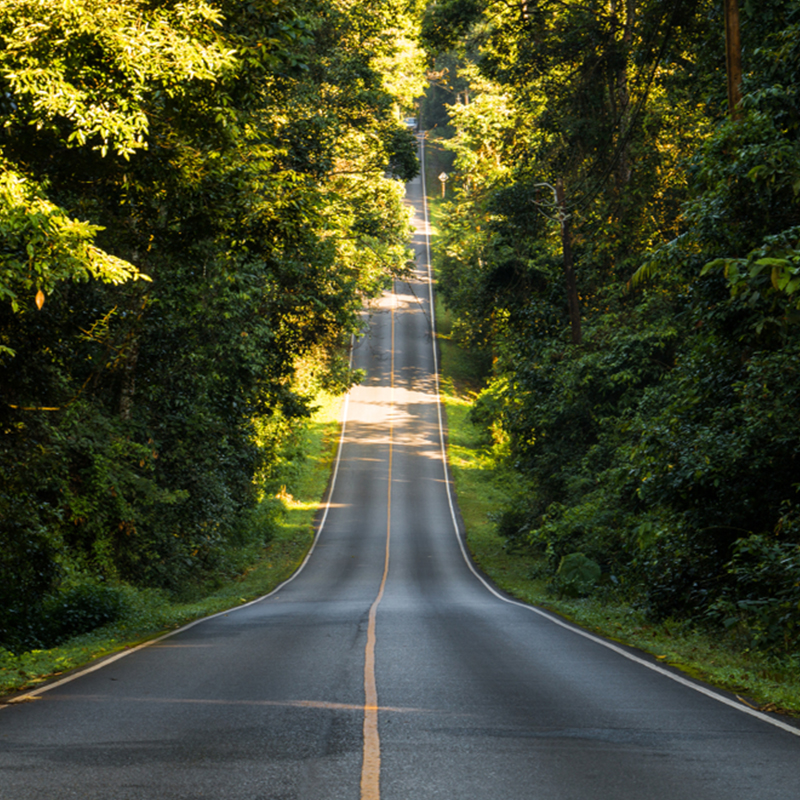 carretera inspiradora entre árboles